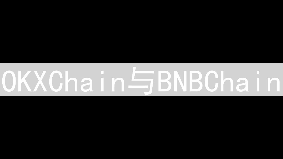 OKXChain与BNBChain：交易所公链的差异化演进