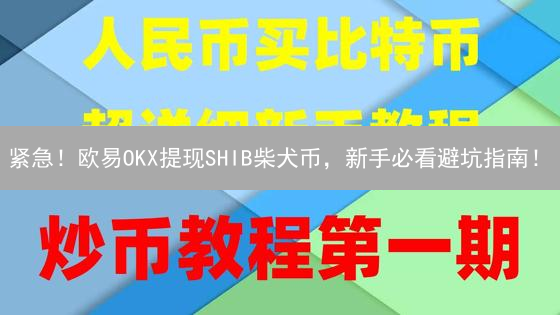 紧急！欧易OKX提现SHIB柴犬币，新手必看避坑指南！
