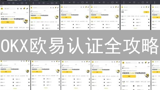 OKX欧易认证全攻略：材料清单、流程解析，助你快速提升交易权限！