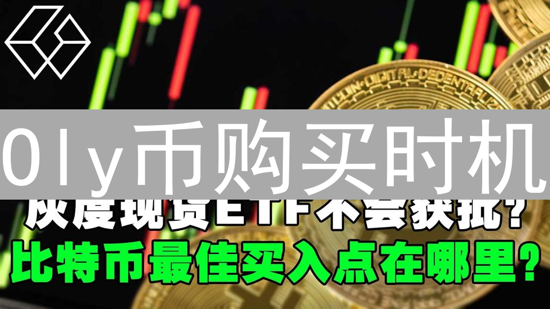 Oly币购买时机：迷雾中寻找加密货币灯塔