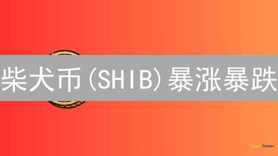 柴犬币(SHIB)暴涨暴跌？揭秘持有SHIB的机遇与风险！
