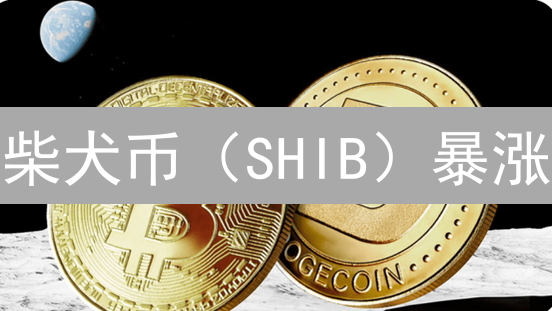 柴犬币（SHIB）暴涨：还能上车吗？三大原因深度剖析！