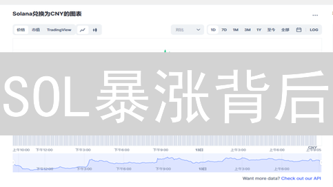 SOL暴涨背后：你必须知道的顶级交易所秘密！🔥