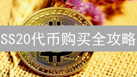 SS20代币购买全攻略：避坑指南与高效渠道揭秘！