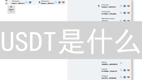 USDT是什么？2024年泰达币最新作用与风险分析！新手必读