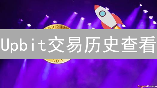 Upbit交易历史查看：精细化数字资产管理指南