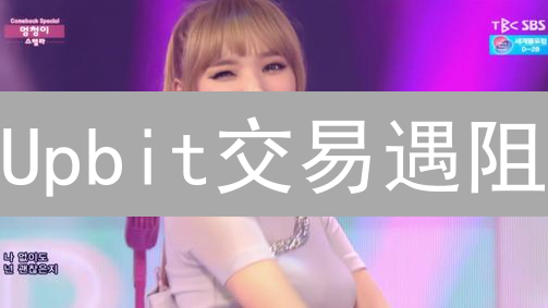 Upbit交易遇阻？一文搞定客服、安全、充提币难题！