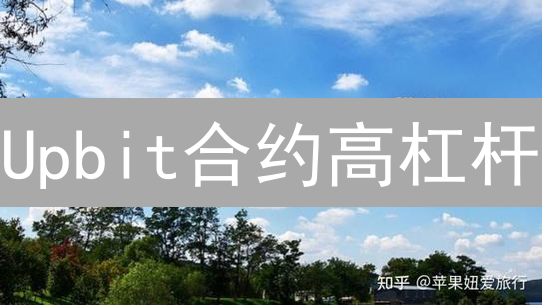 Upbit合约高杠杆：如何玩转保证金，稳健盈利？新手必看！