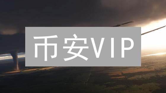 币安VIP：尊享特权，纵横币圈财富之门