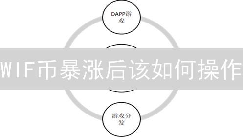 WIF币暴涨后该如何操作？Solana Meme币投资风险全解析！