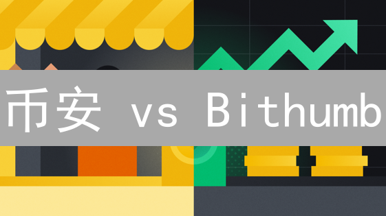 币安 vs Bithumb：谁的支付方式更香？速度与便利大PK！